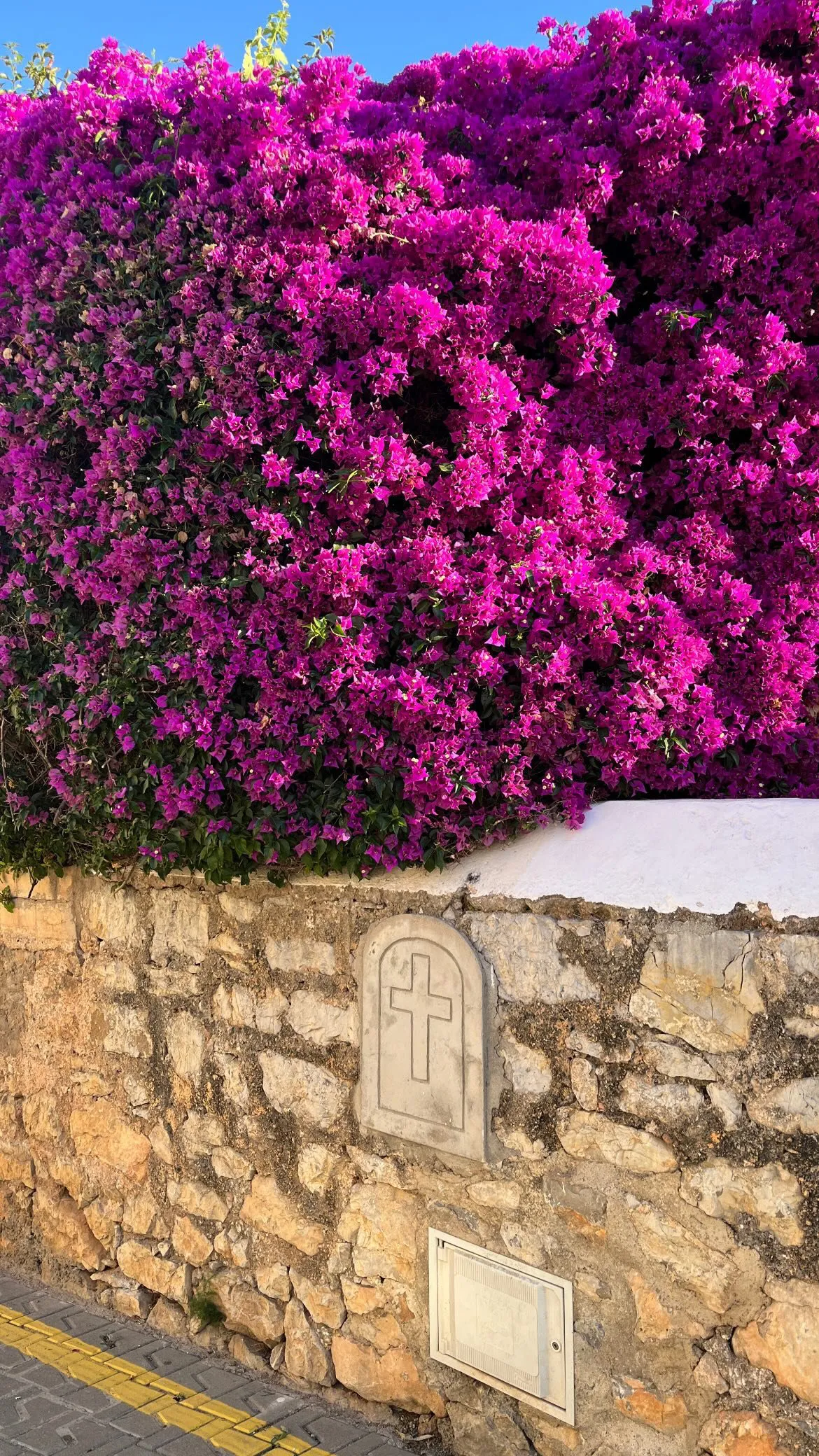 Buganvilla en flor sobre un muro de piedra seca encalado en Ibiza